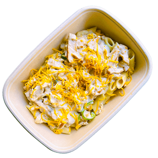 ALFREDO CHICKEN PASTA